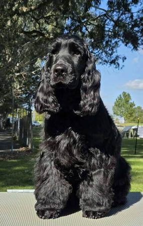 Click to view more details