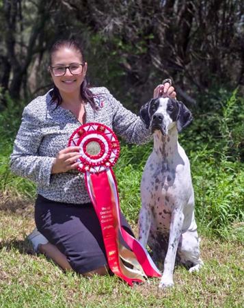 Pointer for sale by INCHARA