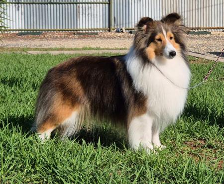 Click to view more details