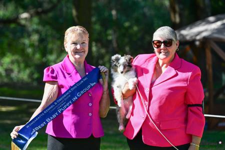 Click to view more details