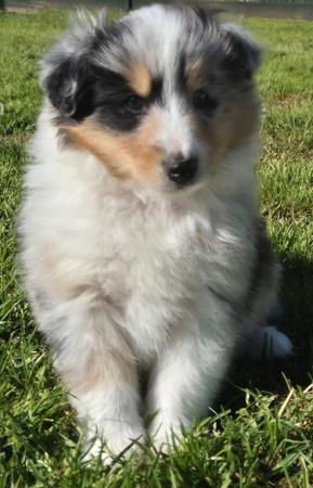 Click to view more details