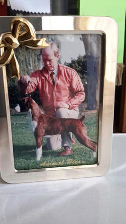 Boxer for sale by MILMAC