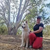 White Swiss Shepherd Dog for sale by NIMERIA