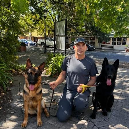 German Shepherd Dog for sale by NIMERIA