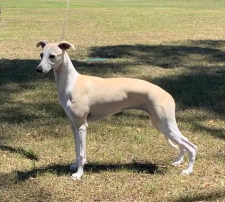 Click to view more details