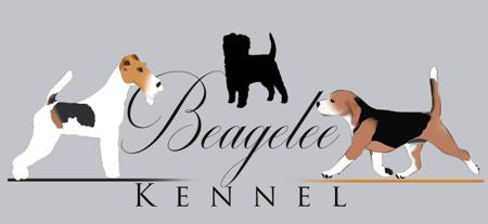 Fox Terrier (Wire) for sale by BEAGELEE