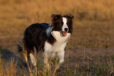 Click to view more details