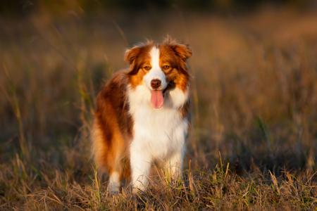 Click to view more details