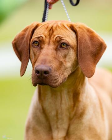 Click to view more details