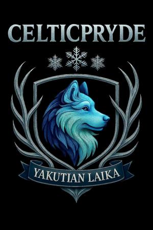 Yakutian Laika for sale by CELTICPRYDE