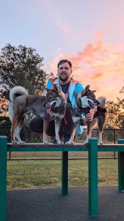 Shikoku for sale by KANTAROSOU