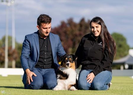 Australian Shepherd for sale by OSHARA
