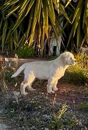 Click to view more details