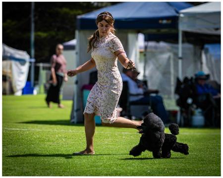 Click to view more details