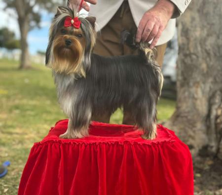 Click to view more details