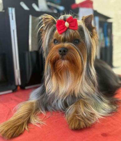 Click to view more details