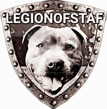 Staffordshire Bull Terrier puppy for sale by LEGIONOFSTAF