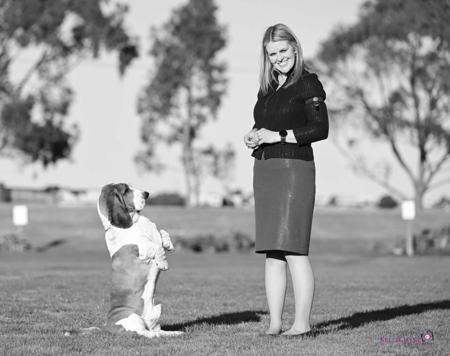 Basset Hound for sale by KAMAHI