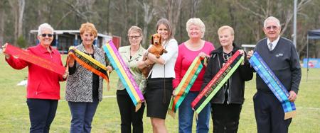 Dachshund (Miniature Smooth Haired) for sale by KAMAHI