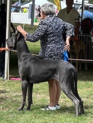 Click to view more details