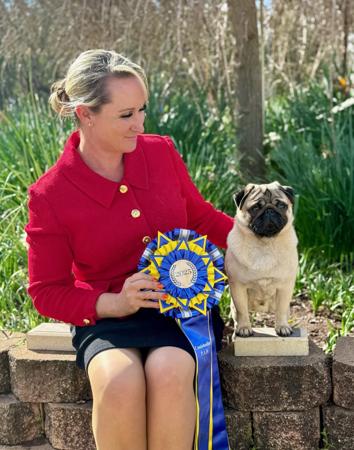 Pug for sale by KABOVA