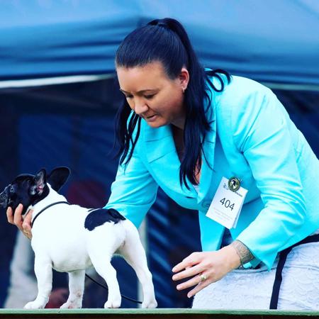 French Bulldog for sale by PROTECTABULL