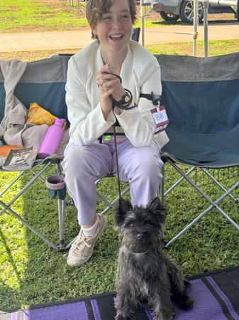 Cairn Terrier for sale by HASSENRIGGER