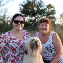 Lhasa Apso for sale by ZALAND