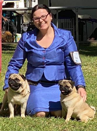 Pug for sale by ZALAND