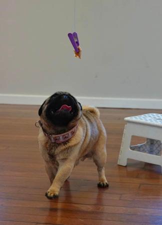 Click to view more details