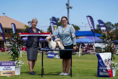 Click to view more details