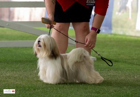 Click to view more details