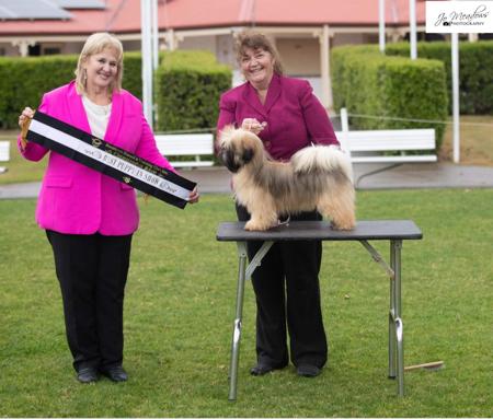 Click to view more details