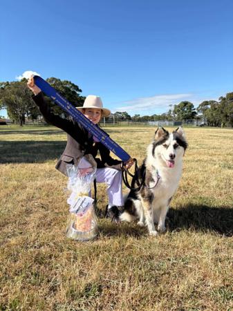 Yakutian Laika for sale by BRASHAWIN