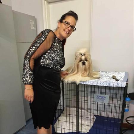 Shih Tzu for sale by SHIHZOOM