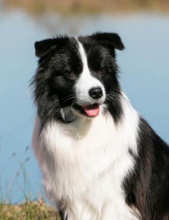 Click to view more details