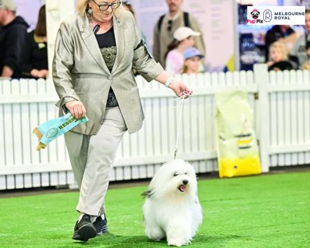 Click to view more details