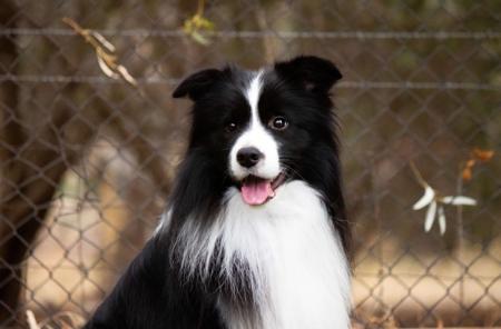 Click to view more details