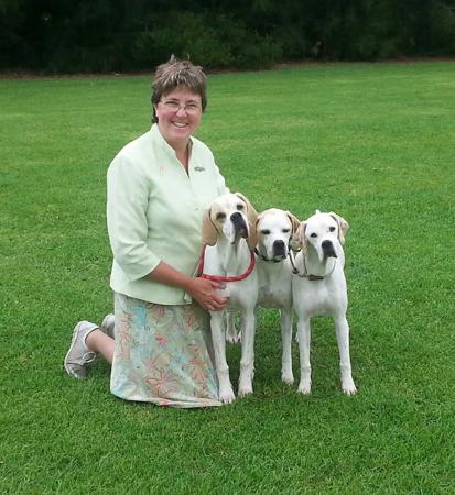 Pointer for sale by ABTEI