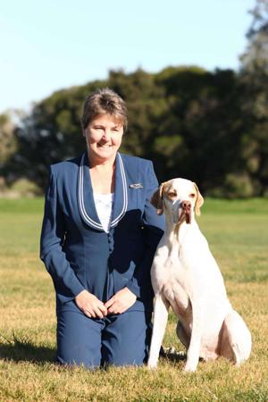 Pointer for sale by ABTEI