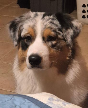 Click to view more details