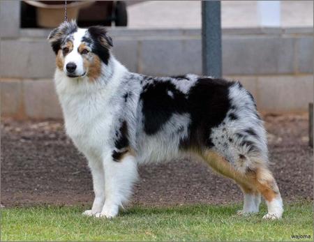 Click to view more details