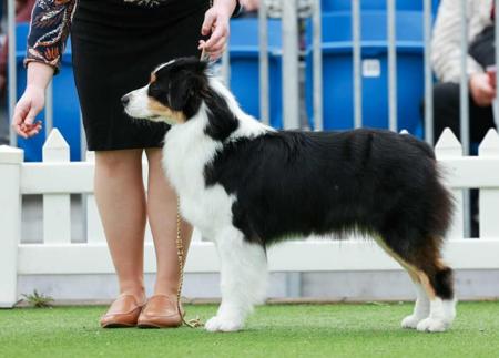 Click to view more details