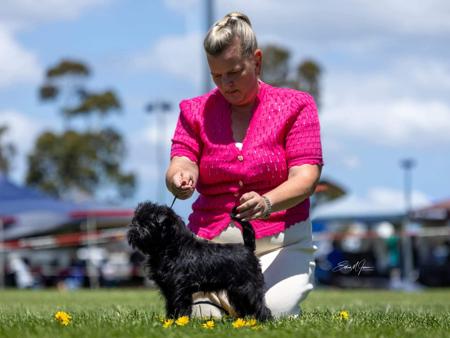 Click to view more details