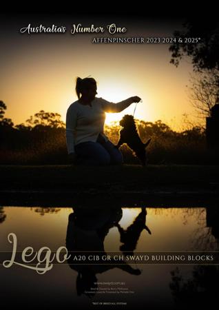 Click to view more details