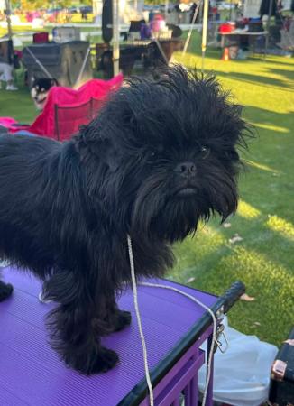 Click to view more details