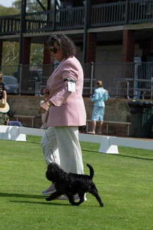 Click to view more details