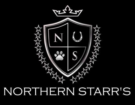 Dogue de Bordeaux for sale by NORTHENSTARR