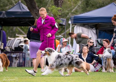 Click to view more details