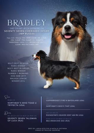 Click to view more details